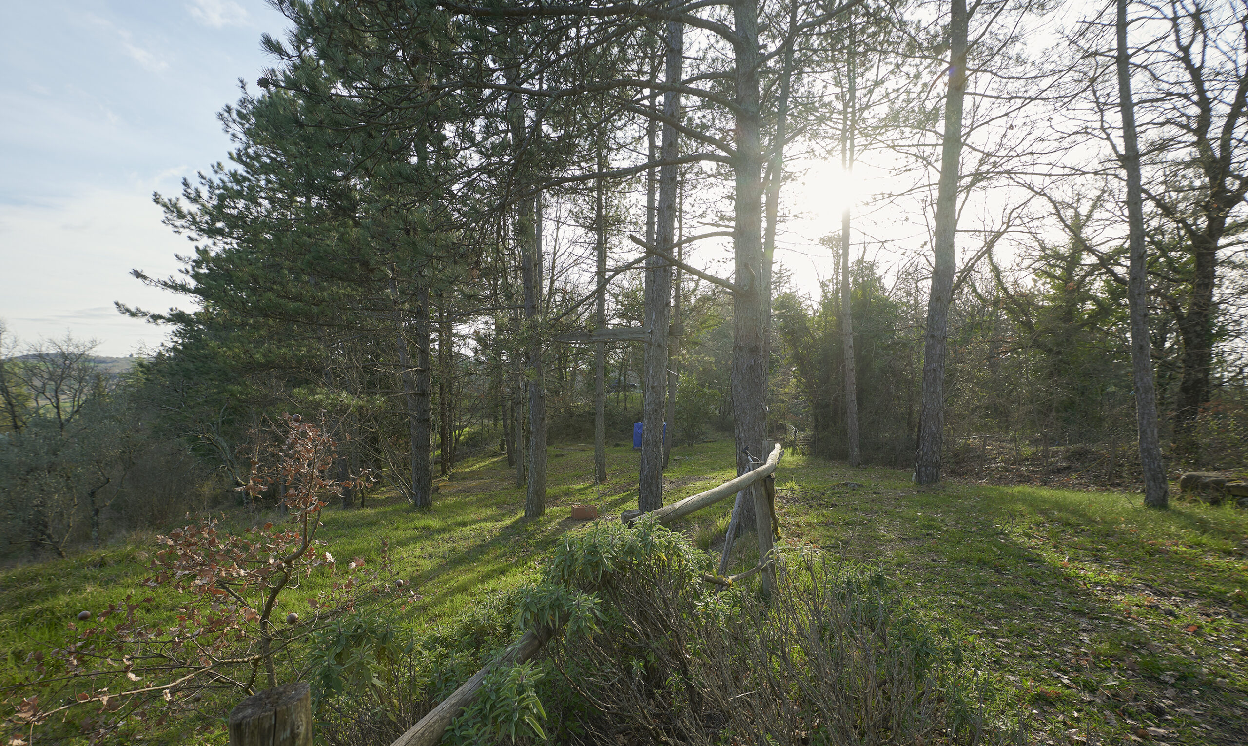 Artemide Cerquosino La Struttura04